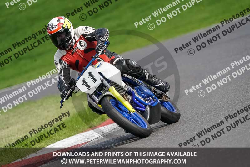 brands hatch photographs;brands no limits trackday;cadwell trackday photographs;enduro digital images;event digital images;eventdigitalimages;no limits trackdays;peter wileman photography;racing digital images;trackday digital images;trackday photos